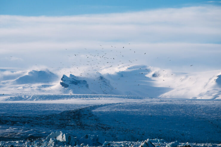 Image for New Arctic protections agreed by Canadian government and Inuit community