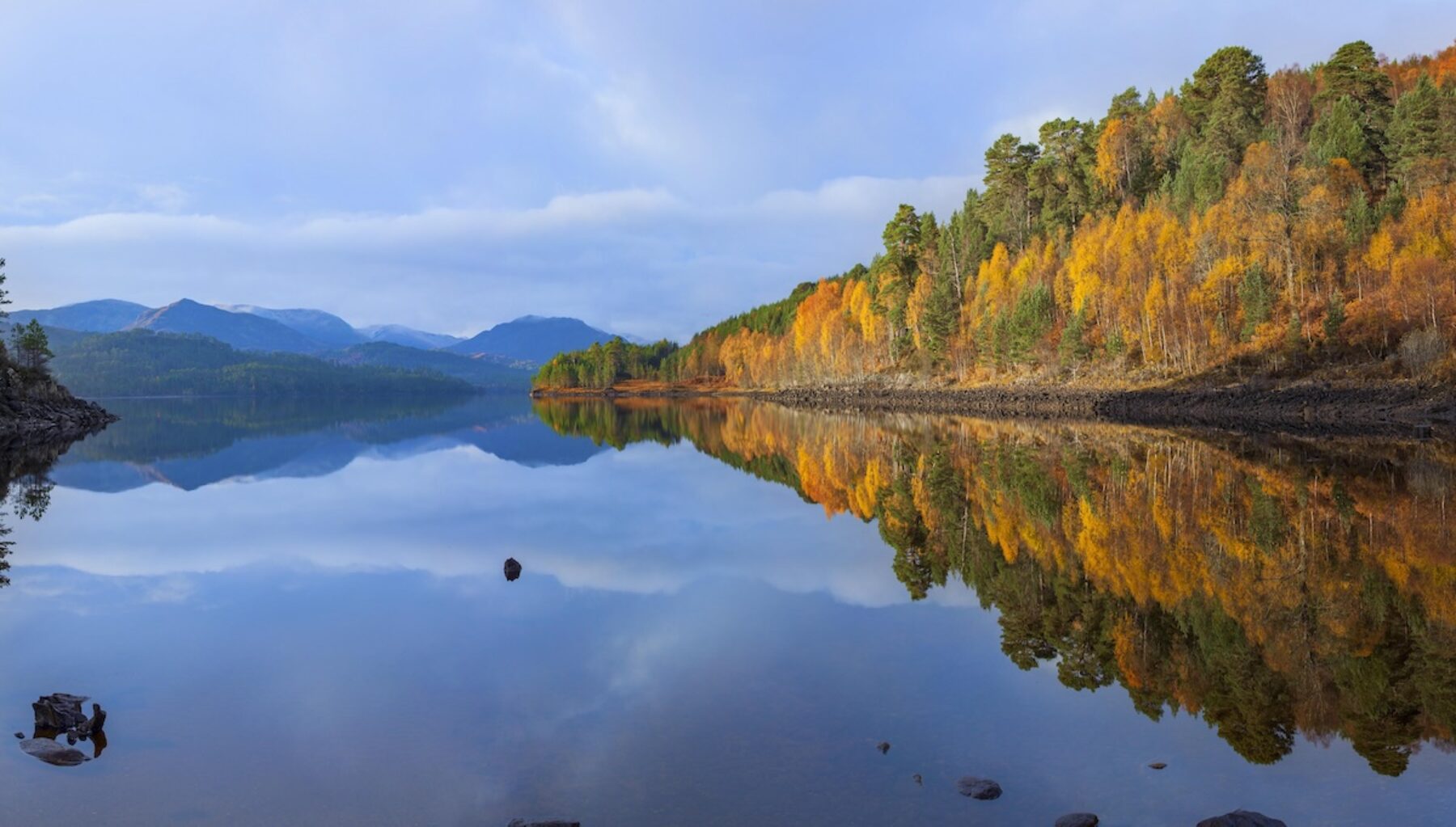 Image for What went right this week: Scotland’s rainforests got a boost, plus more