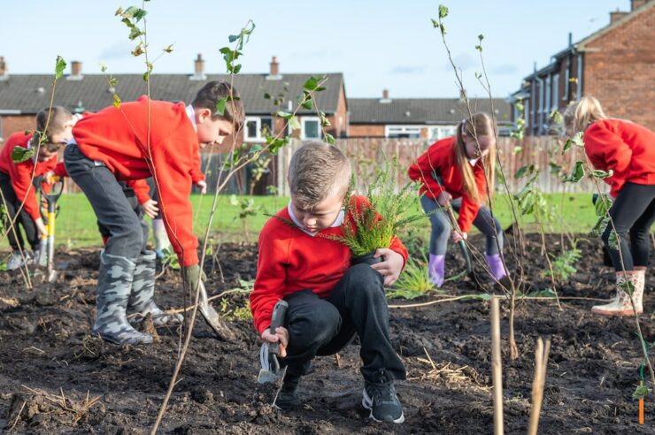 Image for The ‘mini forest’ revolution is here – and coming to a town near you