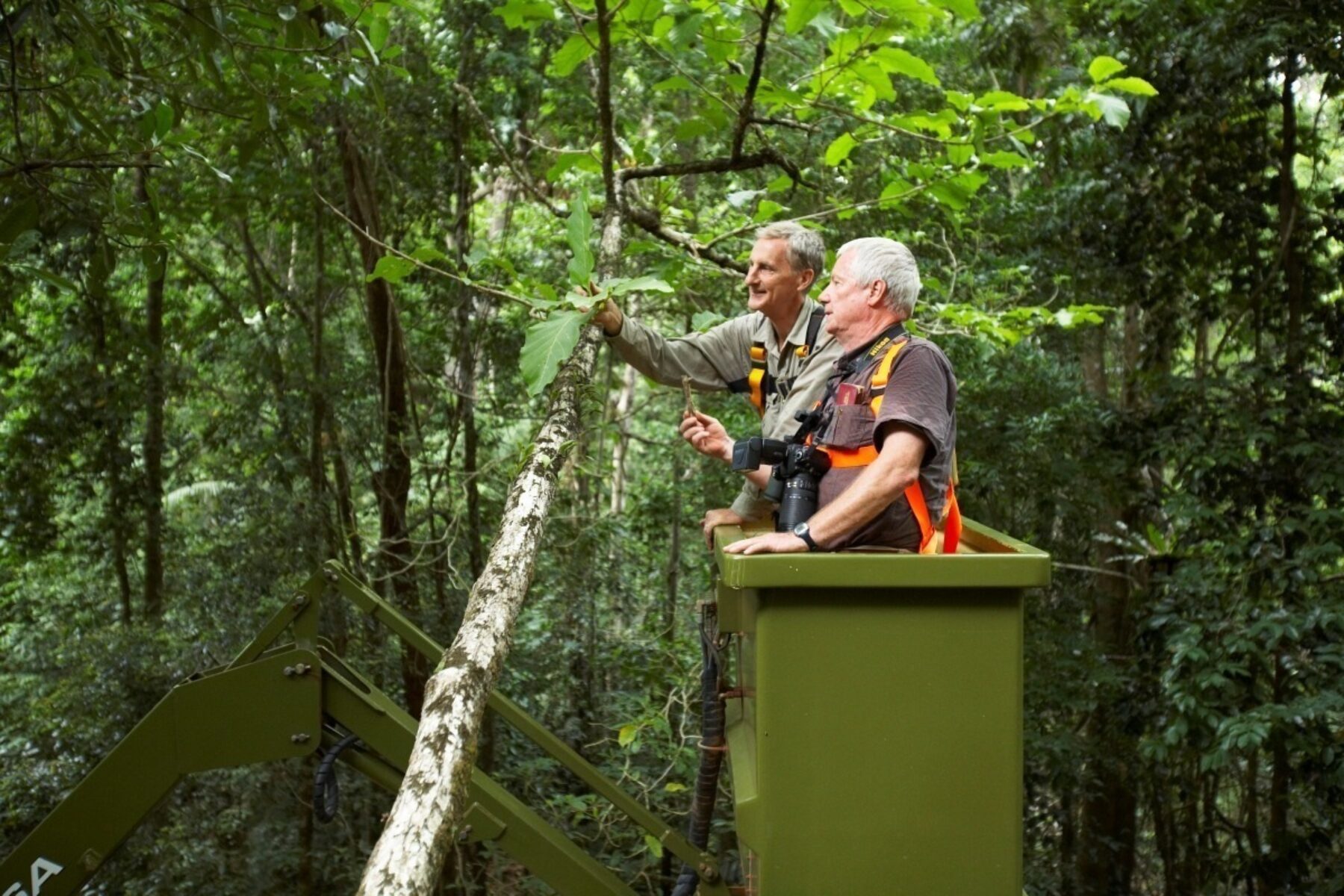 Image for As the First Nations know, forests are ‘music to the soul’