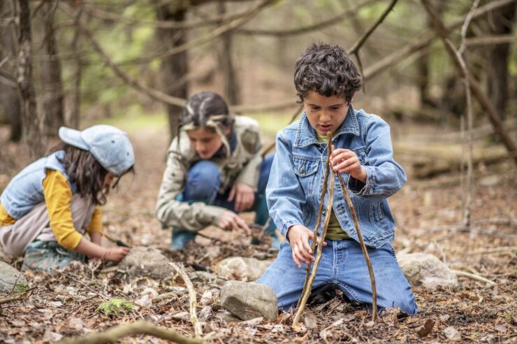 Image for Forest schools are booming in the UK – here’s why