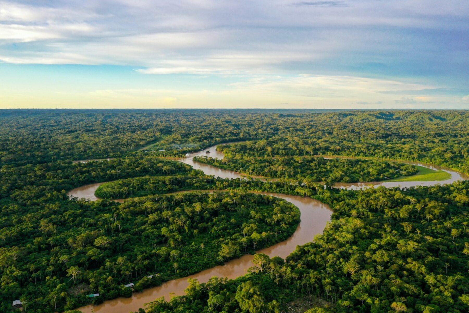 Image for How Indigenous education helped four lost children survive in the Amazon