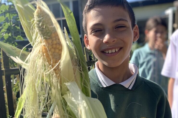 Image for Microbakeries, wheat fields and playground veg plots: how school is going green