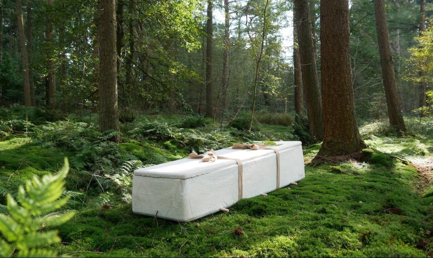 Eco coffin