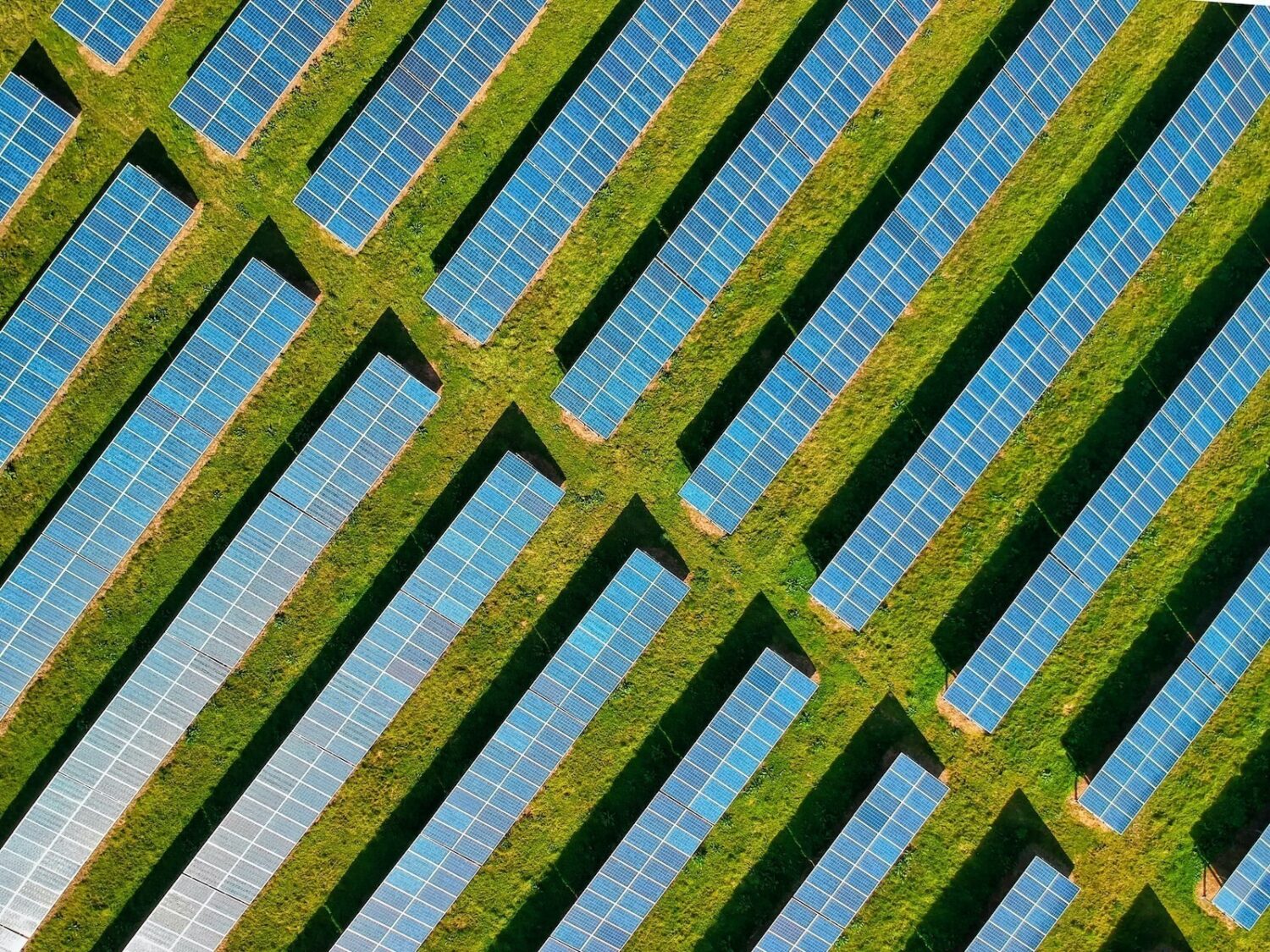 solar panels