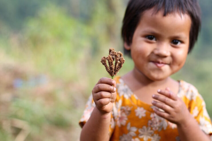 Image for India’s seed-saving farmers who pass down land to their daughters